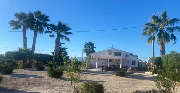 Finca -  - Dolores - Dolores