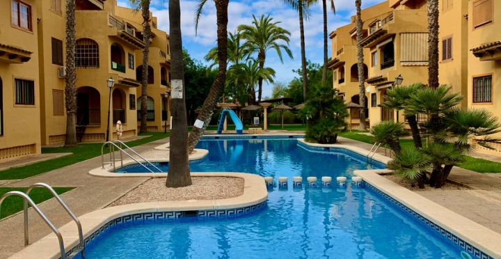 Apartment -  - La Mata - La Mata